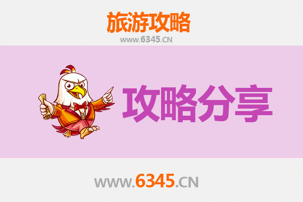 洛阳偃师旅游攻略：跟团与自由行全方位对比